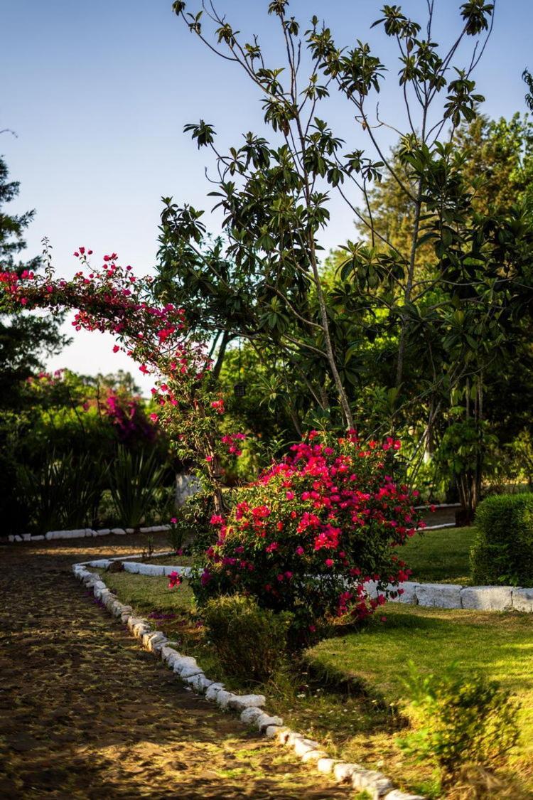 Best Western Plus Posada De Don Vasco Pátzcuaro Kültér fotó Bougainvillea
